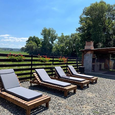 Casa Cu Flori Maramures Baia Mare Ngoại thất bức ảnh
