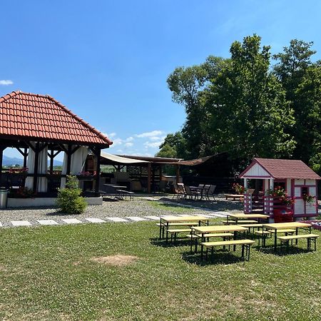 Casa Cu Flori Maramures Baia Mare Ngoại thất bức ảnh