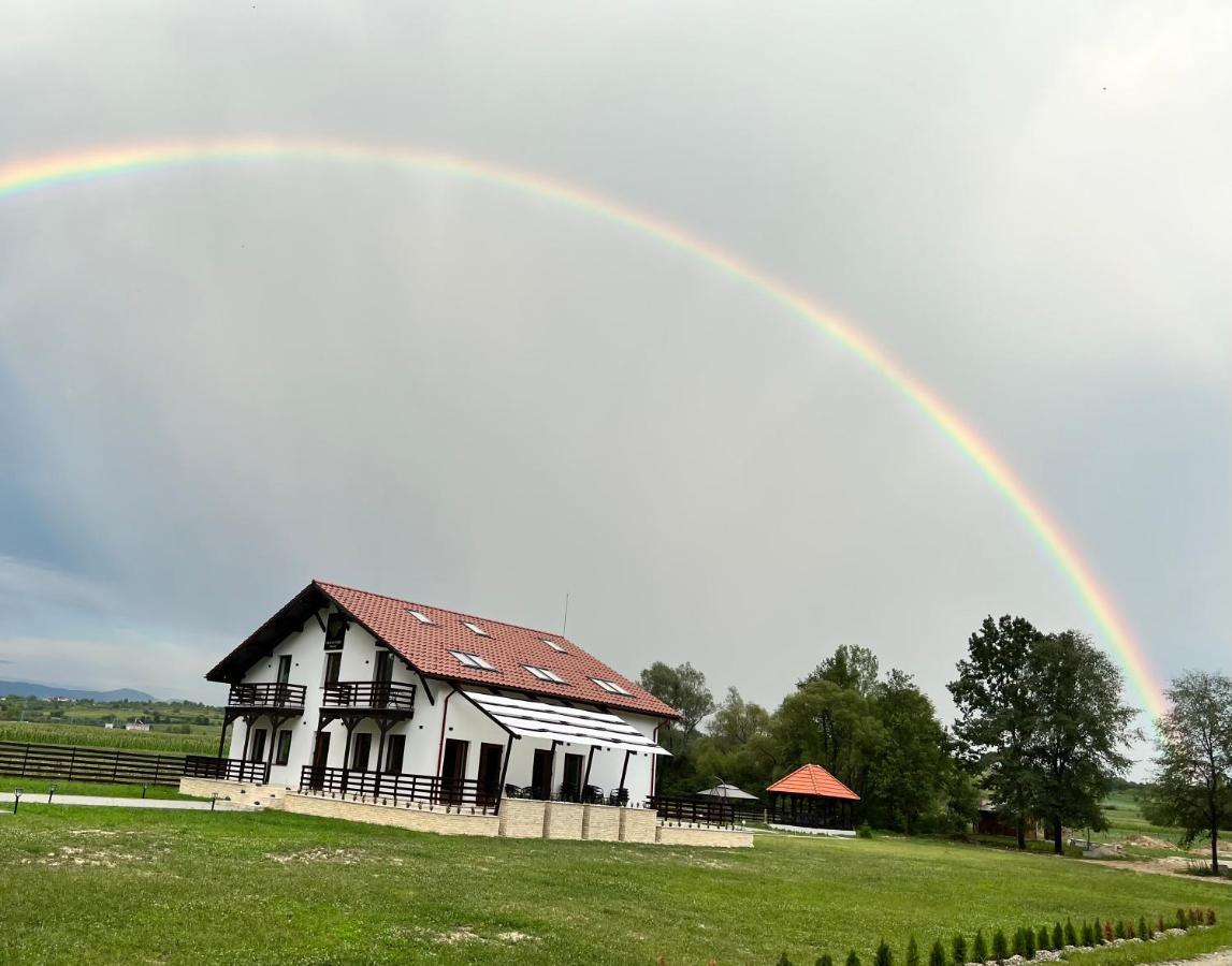 Casa Cu Flori Maramures Baia Mare Ngoại thất bức ảnh