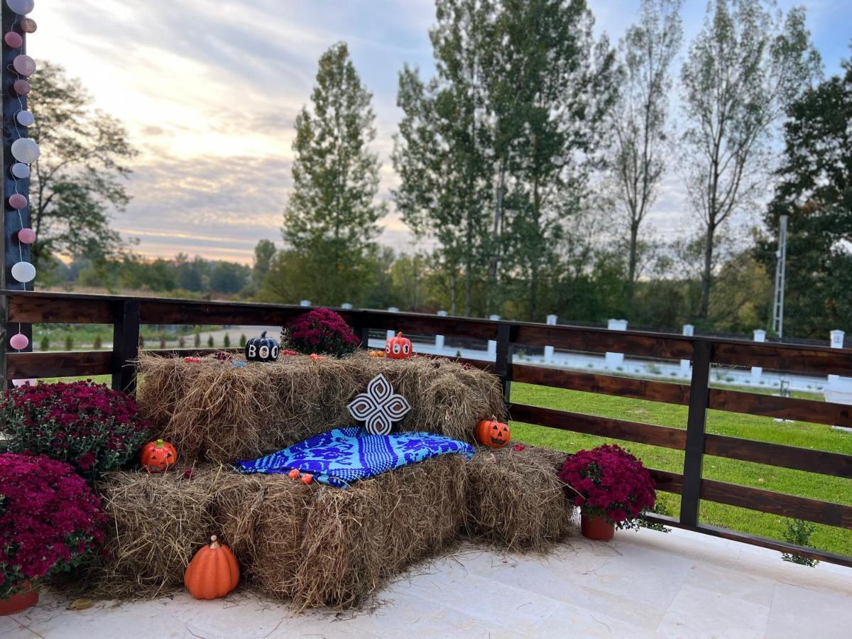 Casa Cu Flori Maramures Baia Mare Ngoại thất bức ảnh