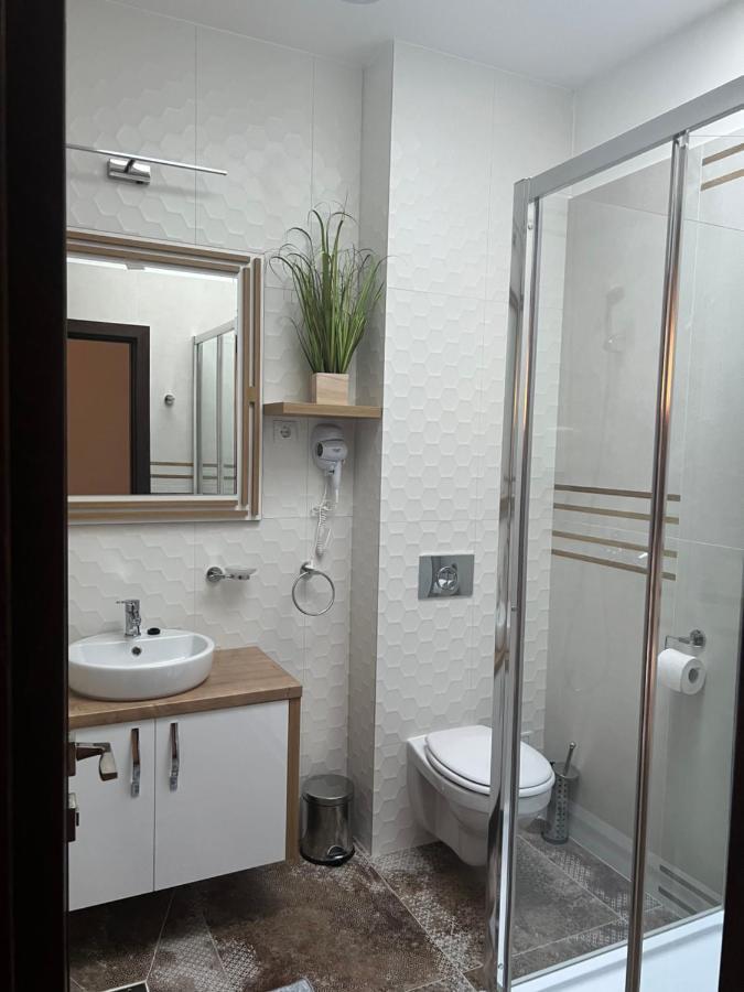 Casa Cu Flori Maramures Baia Mare Ngoại thất bức ảnh