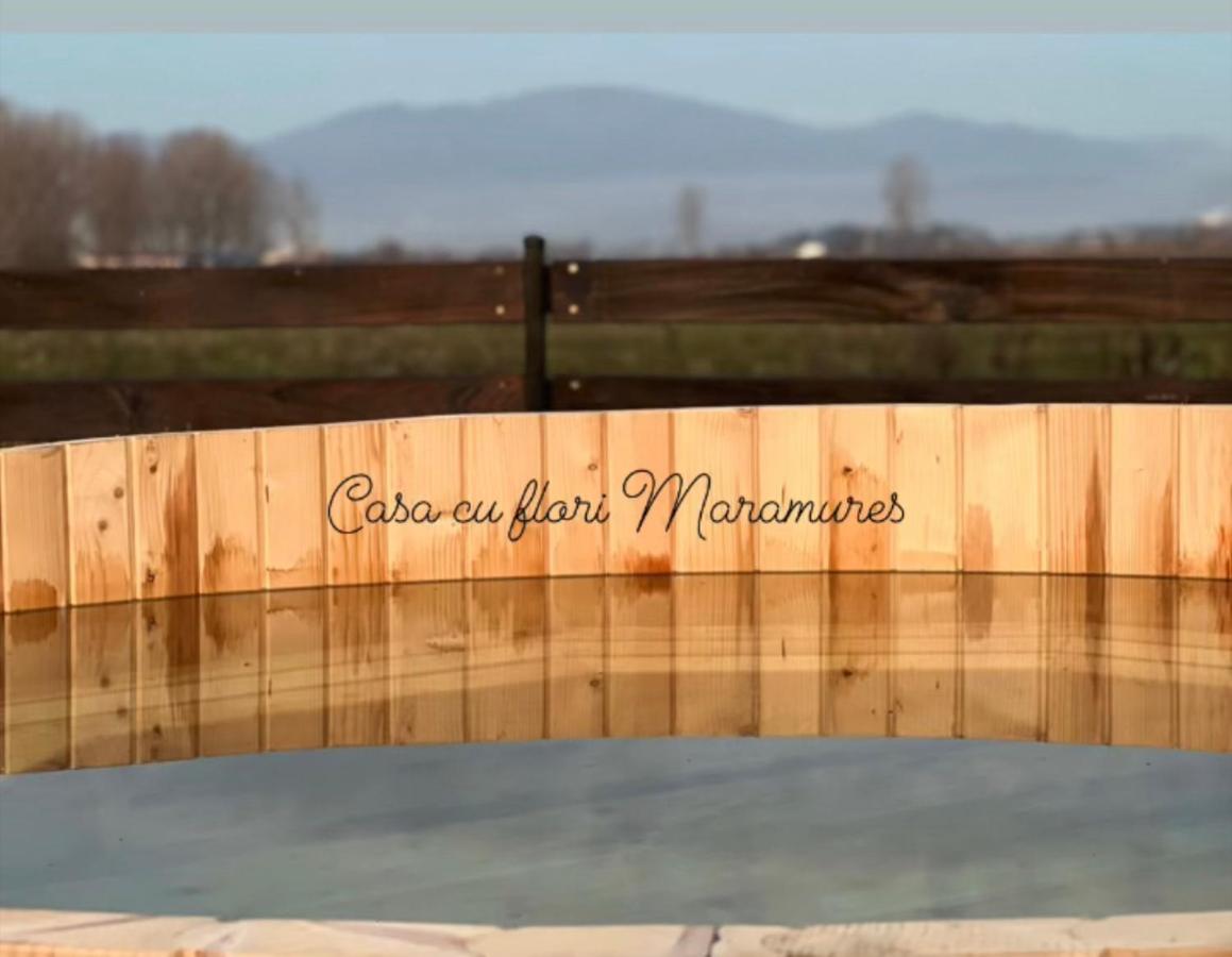 Casa Cu Flori Maramures Baia Mare Ngoại thất bức ảnh