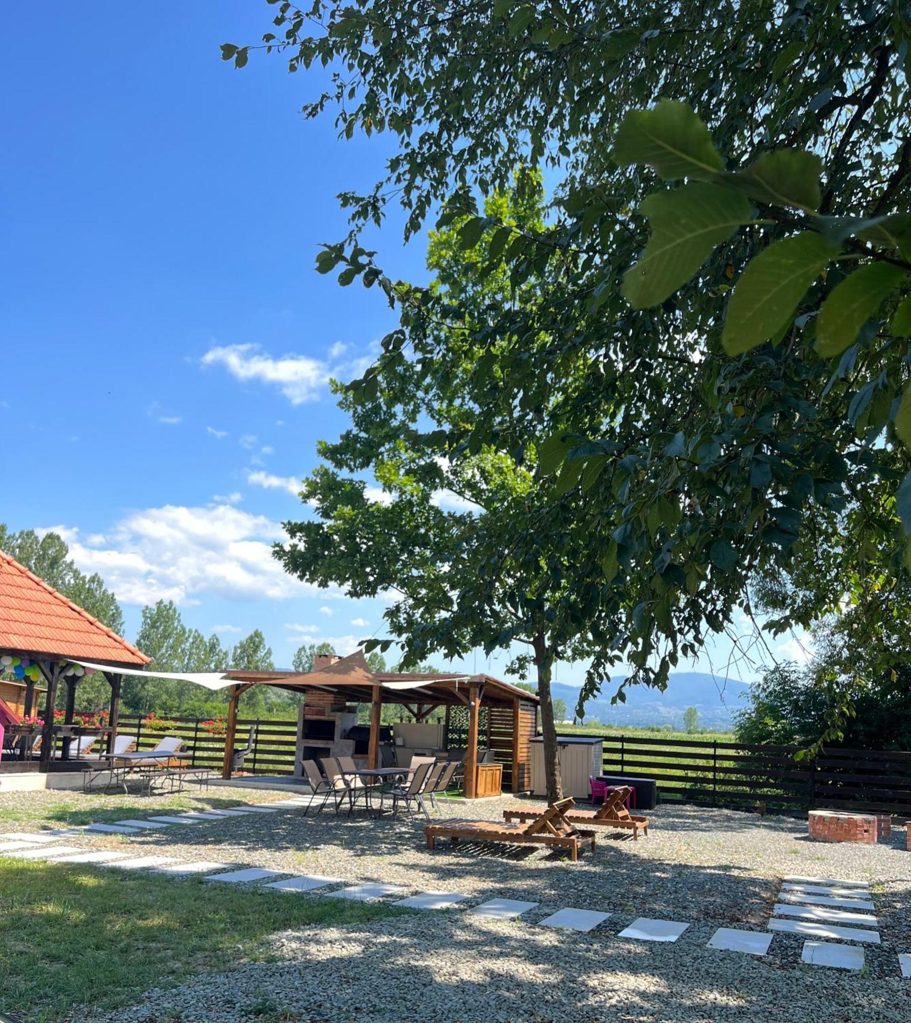 Casa Cu Flori Maramures Baia Mare Ngoại thất bức ảnh