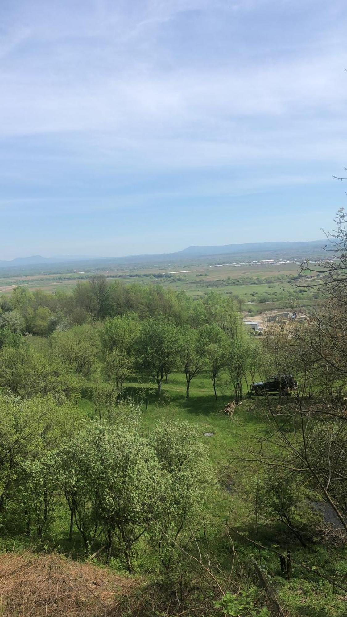 Casa Cu Flori Maramures Baia Mare Ngoại thất bức ảnh