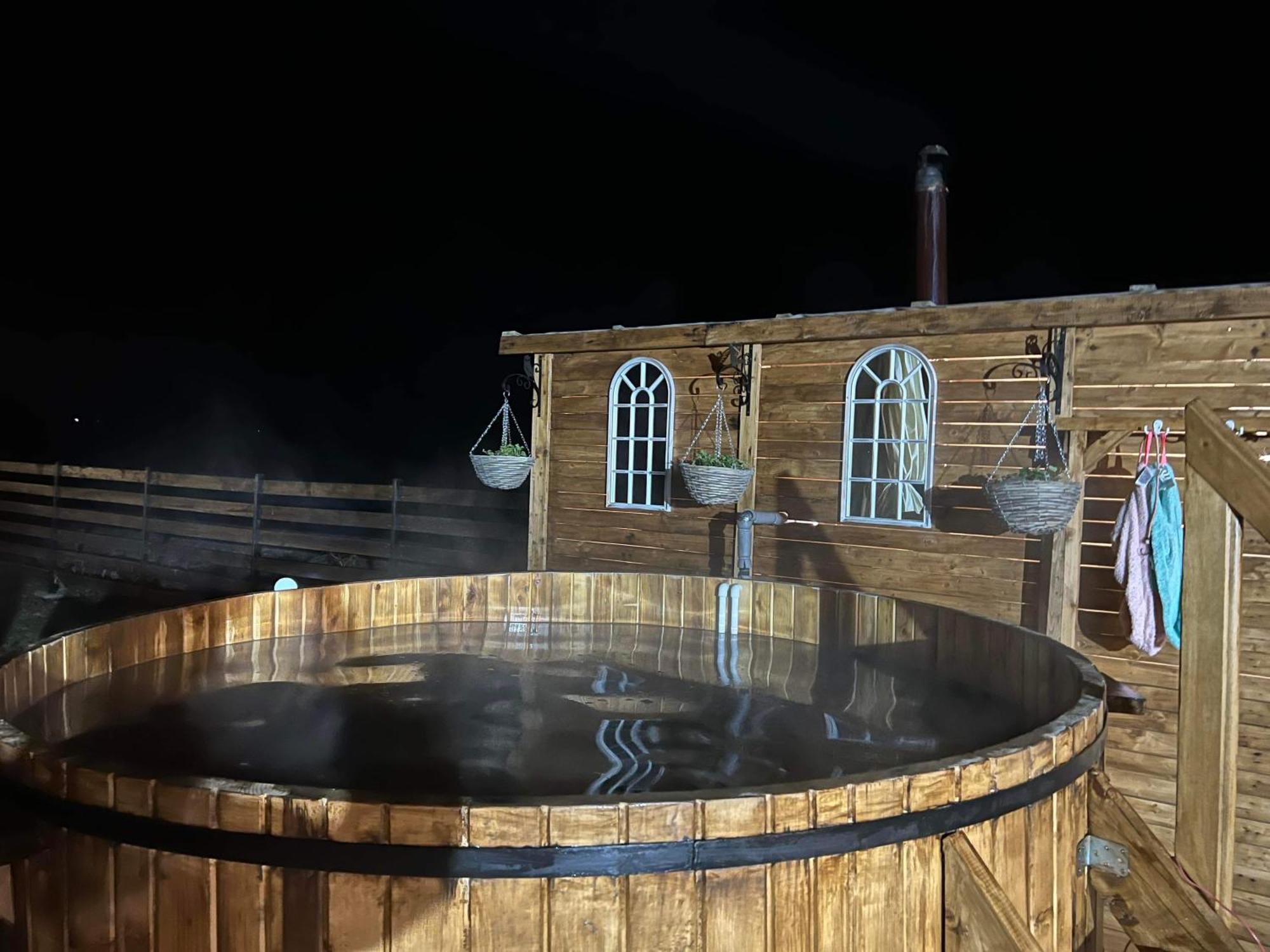 Casa Cu Flori Maramures Baia Mare Ngoại thất bức ảnh